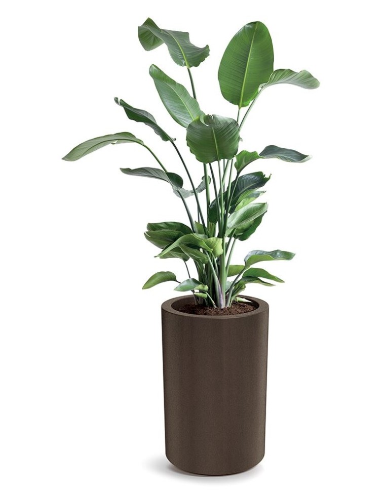 Pflanzkübel rund Ø47 × 60 cm matt, 37 L – Cortenstahl | Töpferkönig