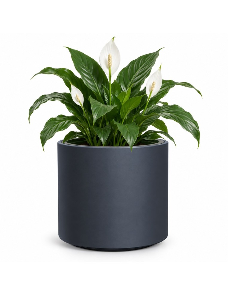 Pot de fleurs rond Ø30 × 29 cm mat, 19 L – Anthracite | Töpferkönig