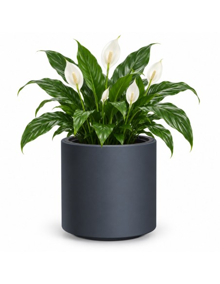 Maceta redonda Ø39 × 38 cm mate, 44 L – Antracita | Töpferkönig
