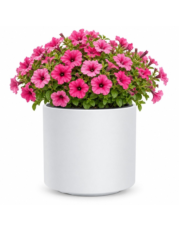 Vaso rotondo Ø30 × 29 cm opaco, 19 L – Bianco | Töpferkönig