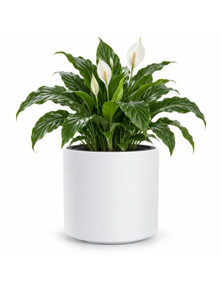 Vaso rotondo Ø39 × 38 cm opaco, 44 L – Bianco | Töpferkönig