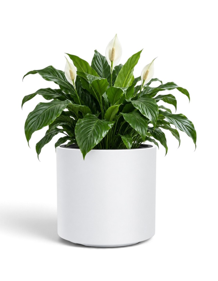 Pot de fleurs rond Ø39 × 38 cm mat, 44 L – Blanc | Töpferkönig