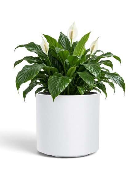 Blumentopf rund Ø39 × 38 cm Matt, 44 L – Weiß | Töpferkönig