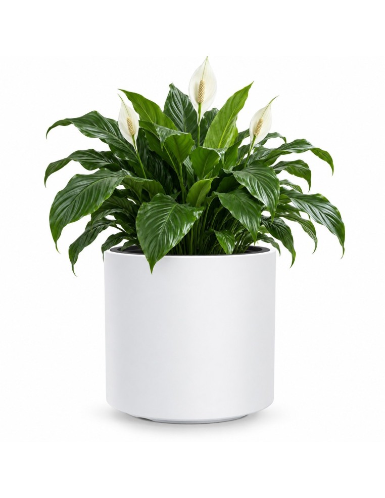 Bloempot rond Ø47 × 45 cm mat, 74 L – Wit | Töpferkönig