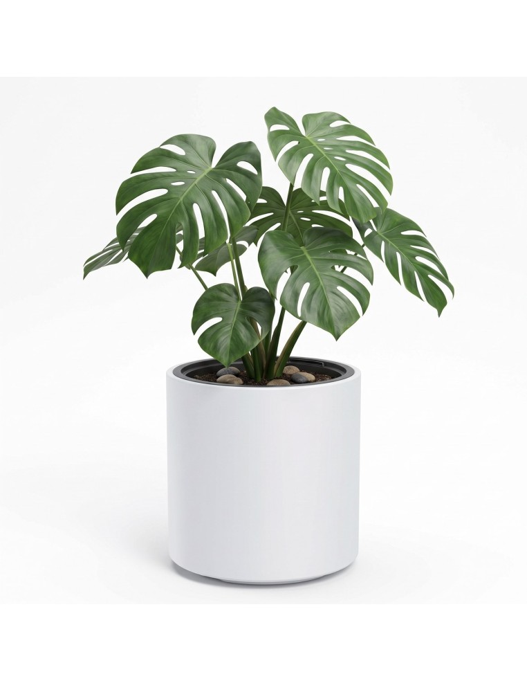 Blumentopf rund Ø47 × 45 cm Matt, 74 L – Weiß | Töpferkönig