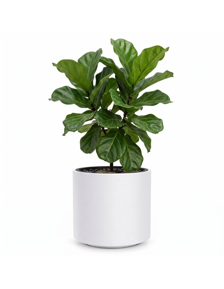 Blumentopf rund Ø47 × 45 cm Matt, 74 L – Weiß | Töpferkönig