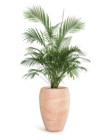 Pflanzkübel XXL rund Ø105 × 100 cm Steinoptik, 303 L – Terrakotta | Töpferkönig