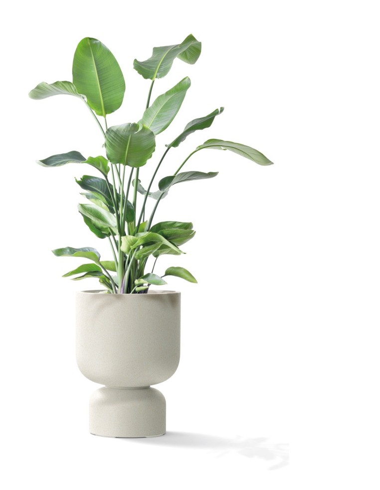 Blumentopf eckig 40 × 40 × 38 cm Steinoptik, 23 L – Sand | Töpferkönig