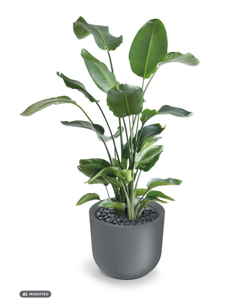 Blumentopf eckig 48 × 48 × 39 cm Steinoptik, 32 L – Granit hell | Töpferkönig