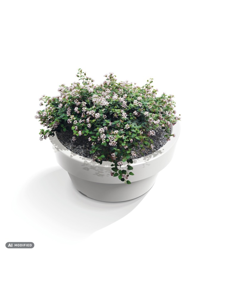 Pflanzkübel rund Ø78 × 65 cm matt, 130 L – Weiß | Töpferkönig