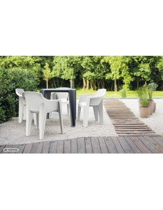 Gartenstuhl mit Armlehnen 4er-Set, ergonomisch, stapelbar – Anthrazit | Töpferkönig 2