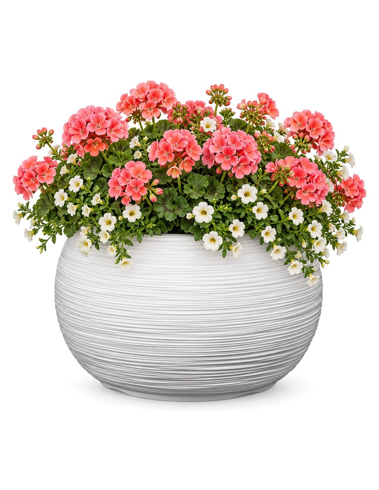 Pflanzschalen-Set rund 2-teilig Ø38 × 25 + Ø44 × 27 cm Gerillt – Weiß | Töpferkönig