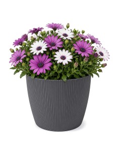 Coprivaso rotondo L Ø22 × 18 cm rigato, 5,2 L – Antracite