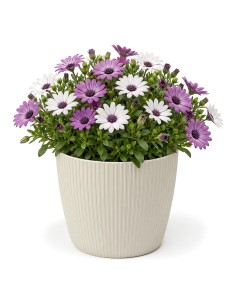 Cache-pot rond L Ø22 × 18 cm strié, 5,2 L – Coton