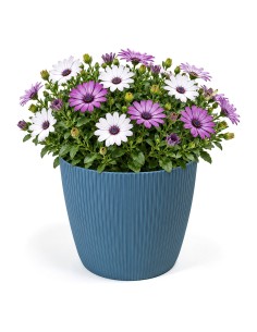 Cache-pot rond L Ø22 × 18 cm strié, 5,2 L – Bleu