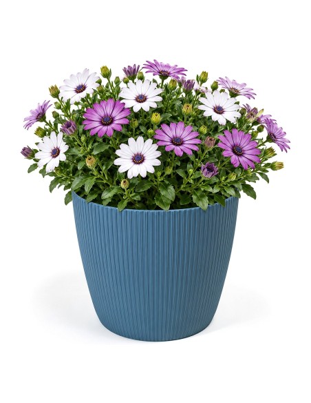 Cubremacetas redondo L Ø22 × 18 cm estriado, 5,2 L – Azul