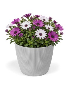 Cubremacetas redondo L Ø22 × 18 cm estriado, 5,2 L – Gris