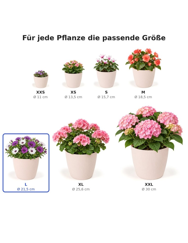 Übertopf rund L Ø22 × 18 cm Gerillt, 5,2 L – Hellrosa