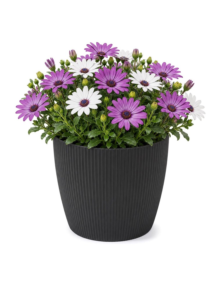 Cache-pot rond L Ø22 × 18 cm strié, 5,2 L – Noir