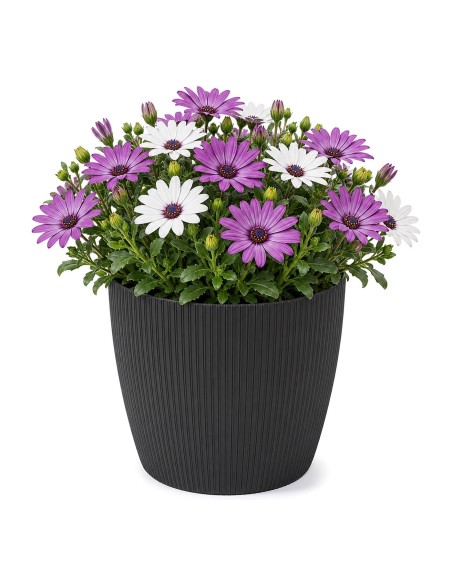 Übertopf rund L Ø22 × 18 cm Gerillt, 5,2 L – Schwarz