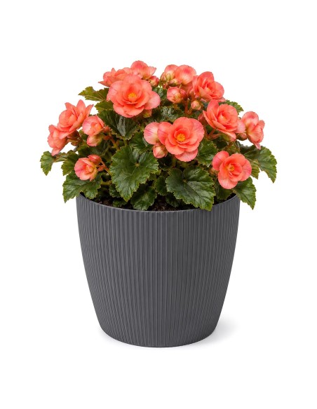 Cache-pot rond M Ø19 × 15 cm strié, 3 L – Anthracite