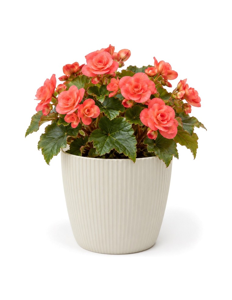 Cache-pot rond M Ø19 × 15 cm strié, 3 L – Coton