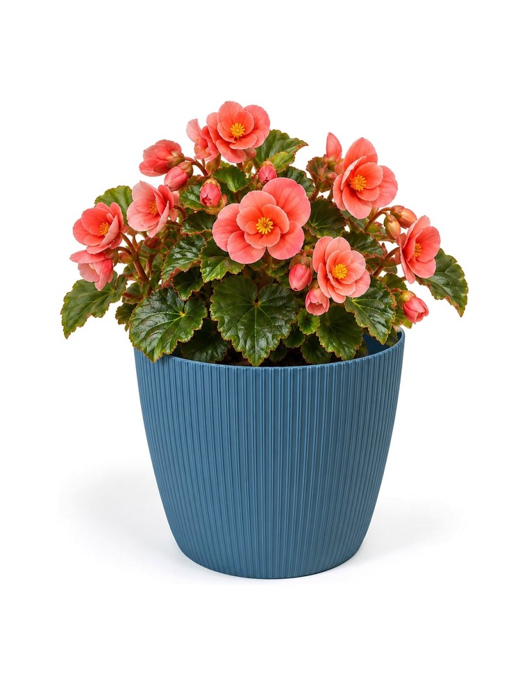Coprivaso rotondo M Ø19 × 15 cm rigato, 3 L – Blu