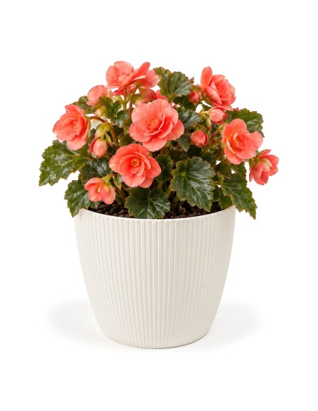 Übertopf rund M Ø19 × 15 cm Gerillt, 3 L – Creme