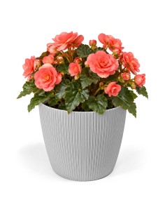 Cubremacetas redondo M Ø19 × 15 cm estriado, 3 L – Gris