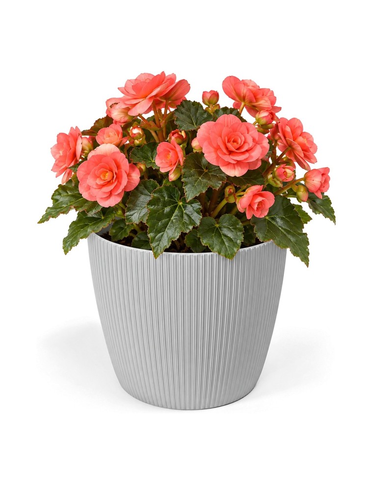 Übertopf rund M Ø19 × 15 cm Gerillt, 3 L – Grau