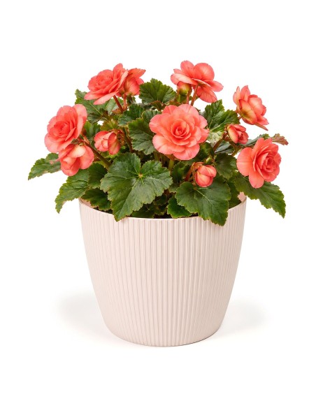 Sierpot rond M Ø19 × 15 cm geribbeld, 3 L – Lichtroze