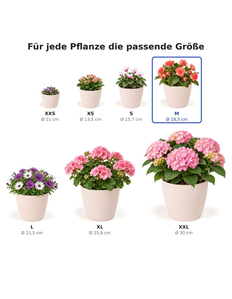 Cubremacetas redondo M Ø19 × 15 cm estriado, 3 L – Rosa claro