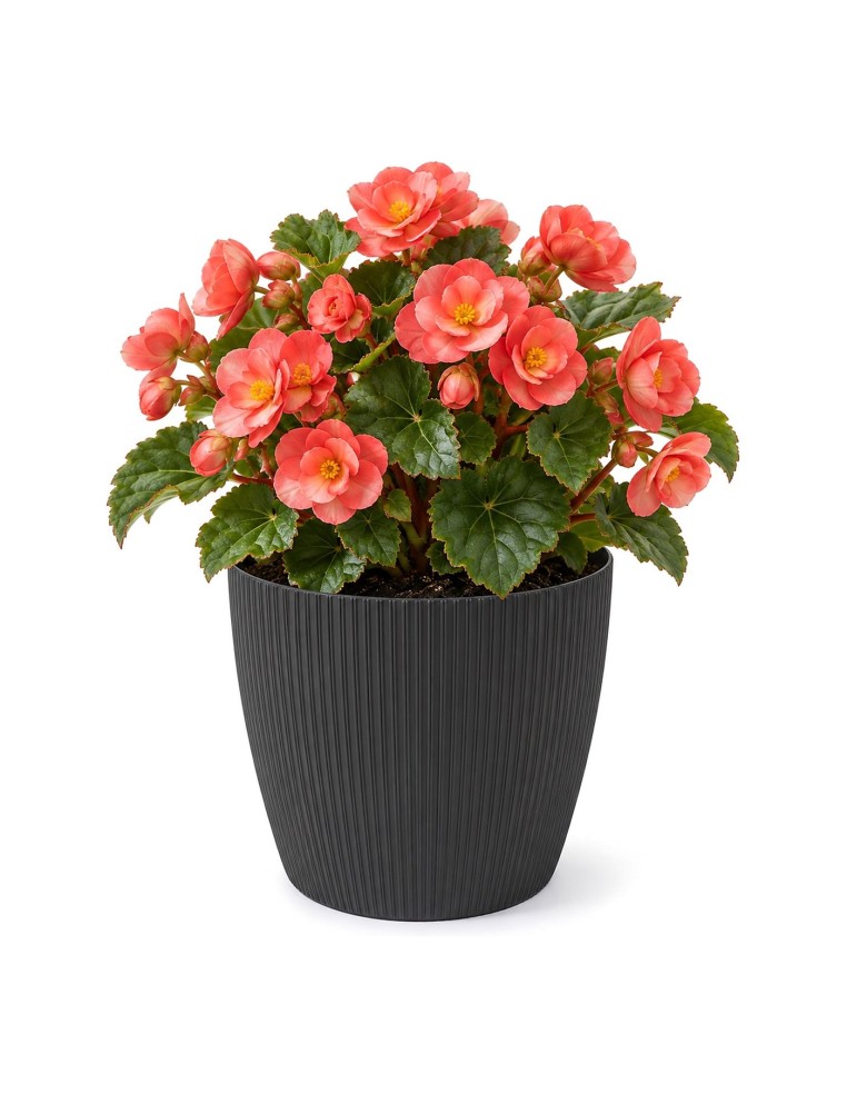 Cubremacetas redondo M Ø19 × 15 cm estriado, 3 L – Negro