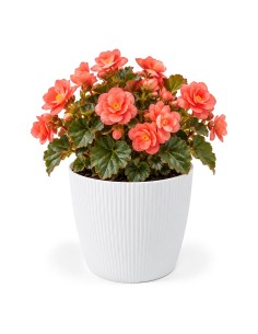 Sierpot rond M Ø19 × 15 cm geribbeld, 3 L – Wit