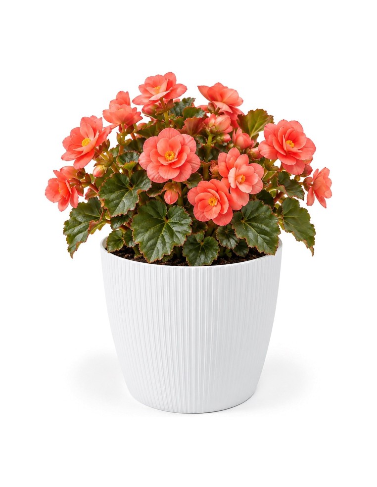 Übertopf rund M Ø19 × 15 cm Gerillt, 3 L – Weiß