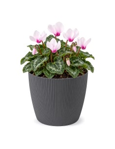 Cubremacetas redondo S Ø16 × 13 cm estriado, 1,9 L – Antracita