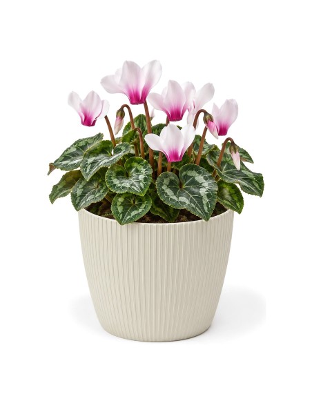 Sierpot rond S Ø16 × 13 cm geribbeld, 1,9 L – Katoenwit