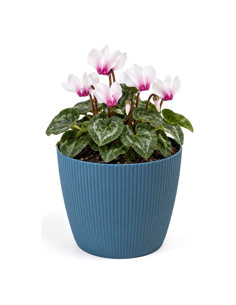 Coprivaso rotondo S Ø16 × 13 cm rigato, 1,9 L – Blu
