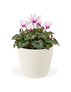 Cache-pot rond S Ø16 × 13 cm strié, 1,9 L – Crème