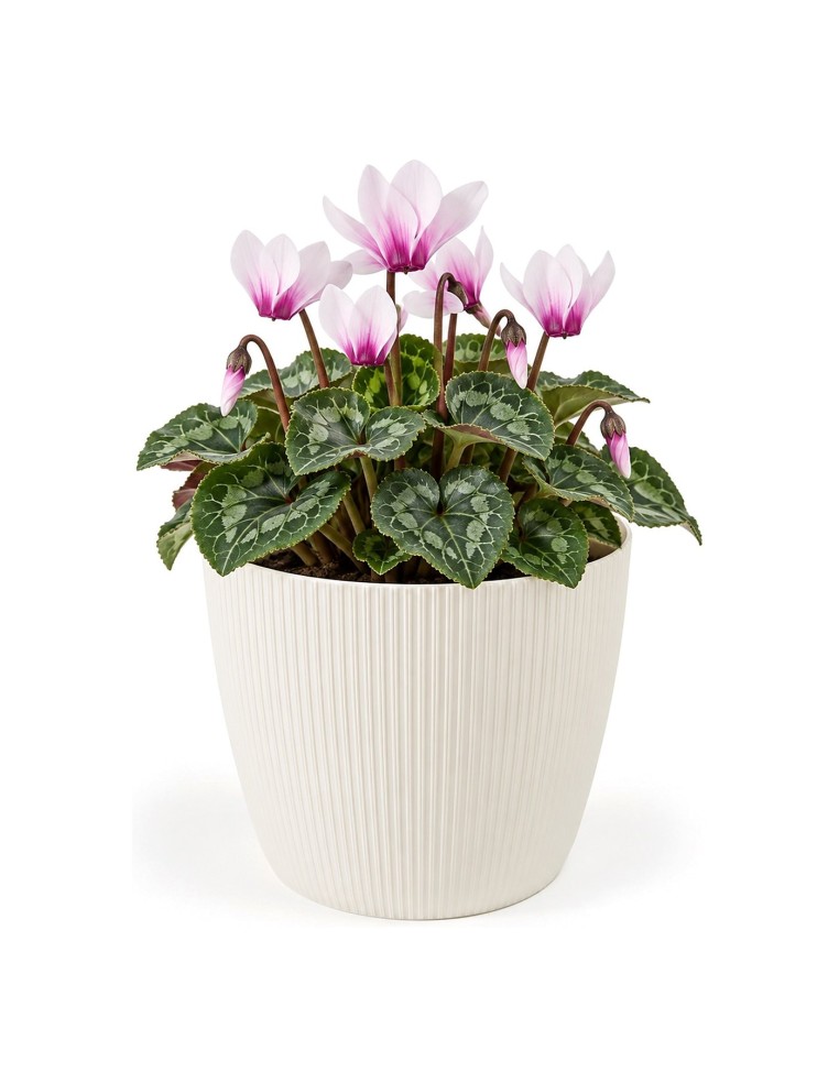 Cache-pot rond S Ø16 × 13 cm strié, 1,9 L – Crème
