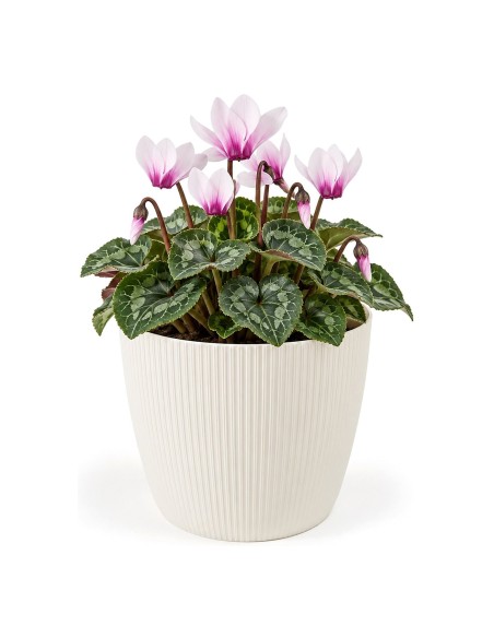 Sierpot rond S Ø16 × 13 cm geribbeld, 1,9 L – Crème