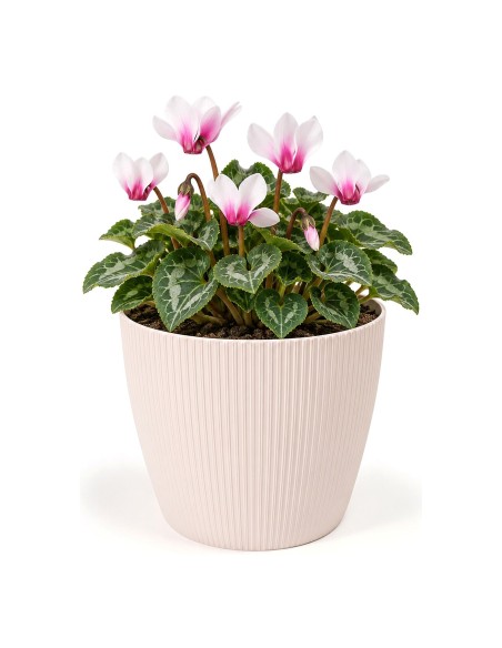 Sierpot rond S Ø16 × 13 cm geribbeld, 1,9 L – Lichtroze