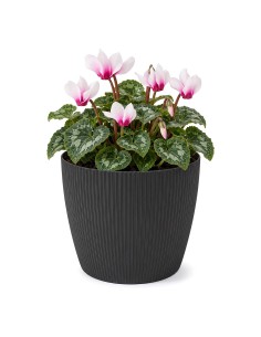 Cubremacetas redondo S Ø16 × 13 cm estriado, 1,9 L – Negro