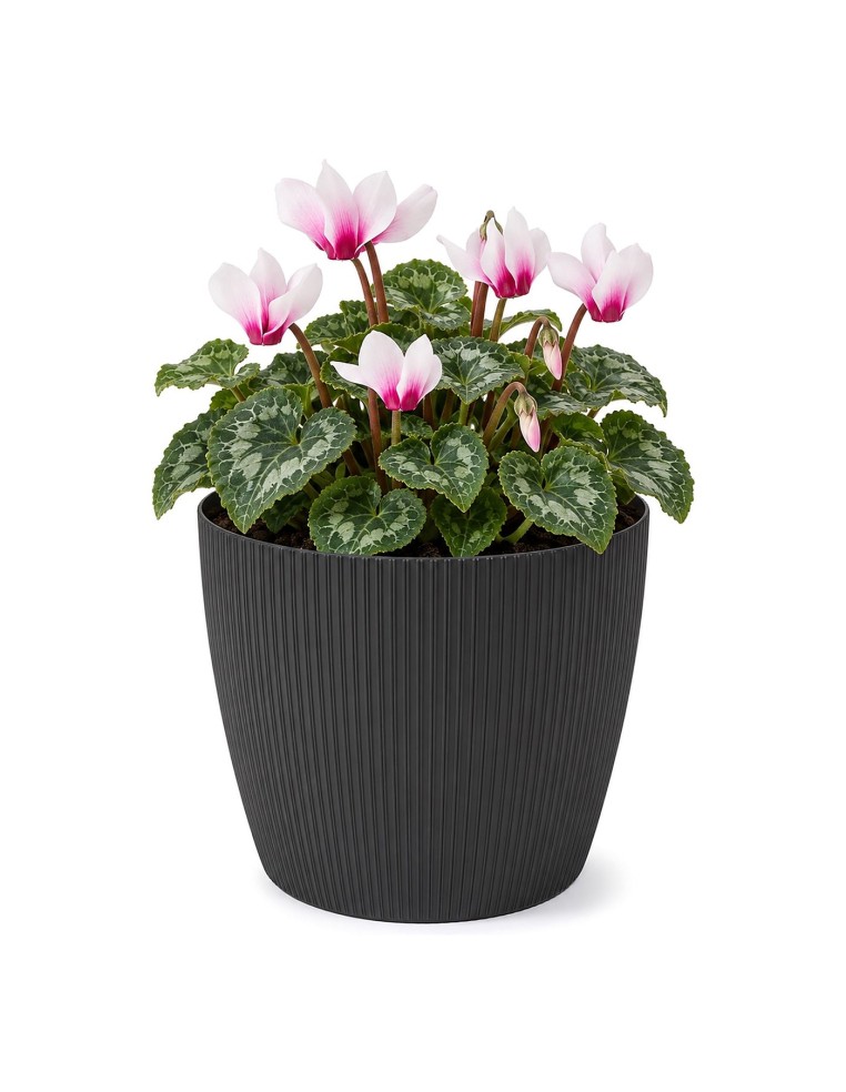 Cache-pot rond S Ø16 × 13 cm strié, 1,9 L – Noir