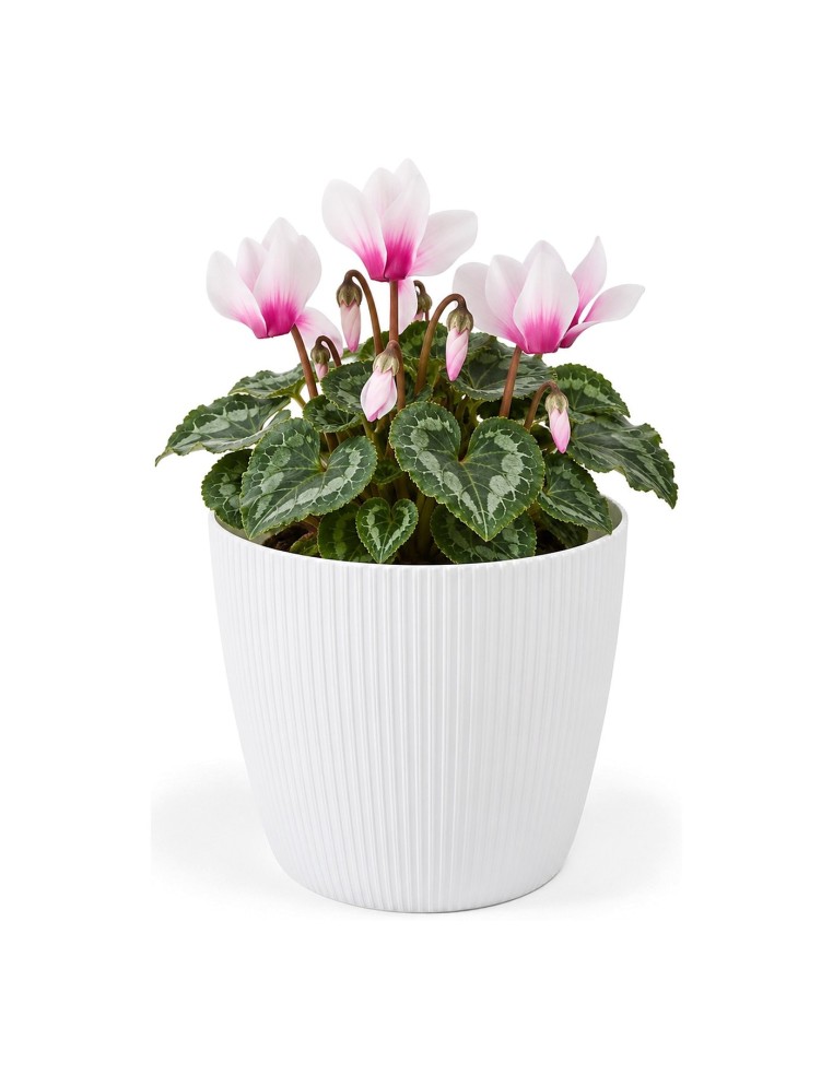 Cache-pot rond S Ø16 × 13 cm strié, 1,9 L – Blanc