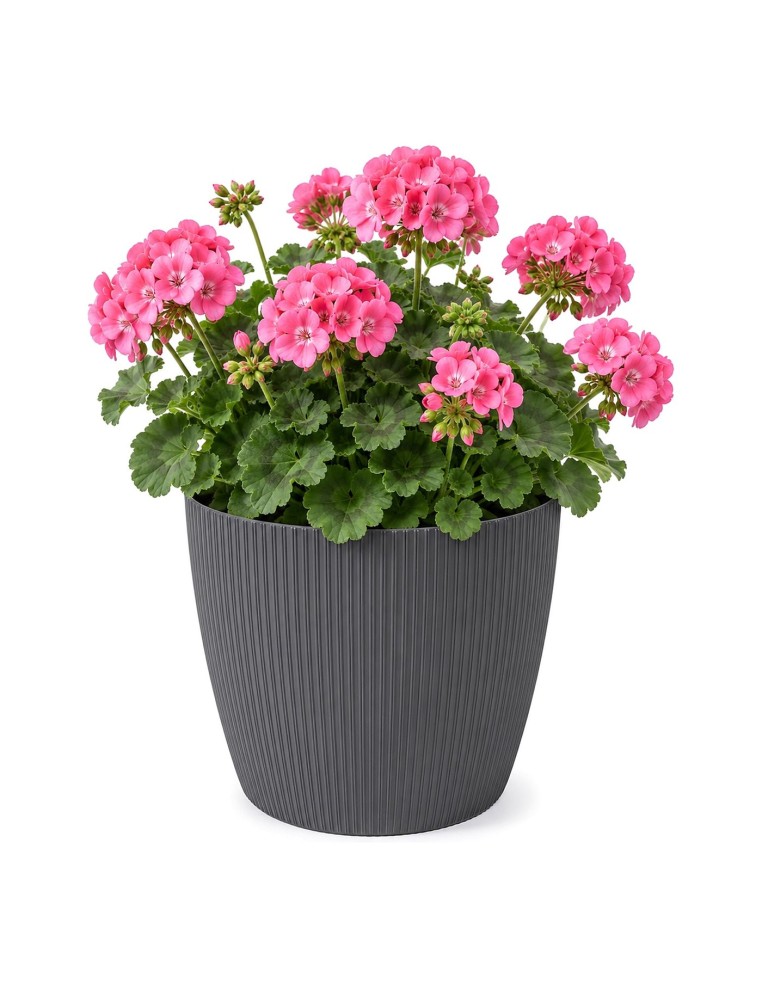 Cache-pot rond XL Ø26 × 21 cm strié, 8,5 L – Anthracite