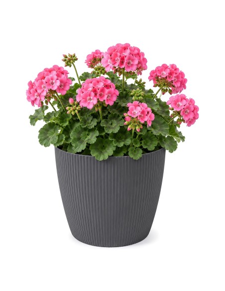 Übertopf rund XL Ø26 × 21 cm Gerillt, 8,5 L – Anthrazit
