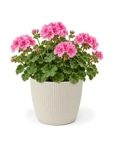 Sierpot rond XL Ø26 × 21 cm geribbeld, 8,5 L – Katoenwit