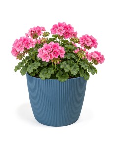 Sierpot rond XL Ø26 × 21 cm geribbeld, 8,5 L – Blauw
