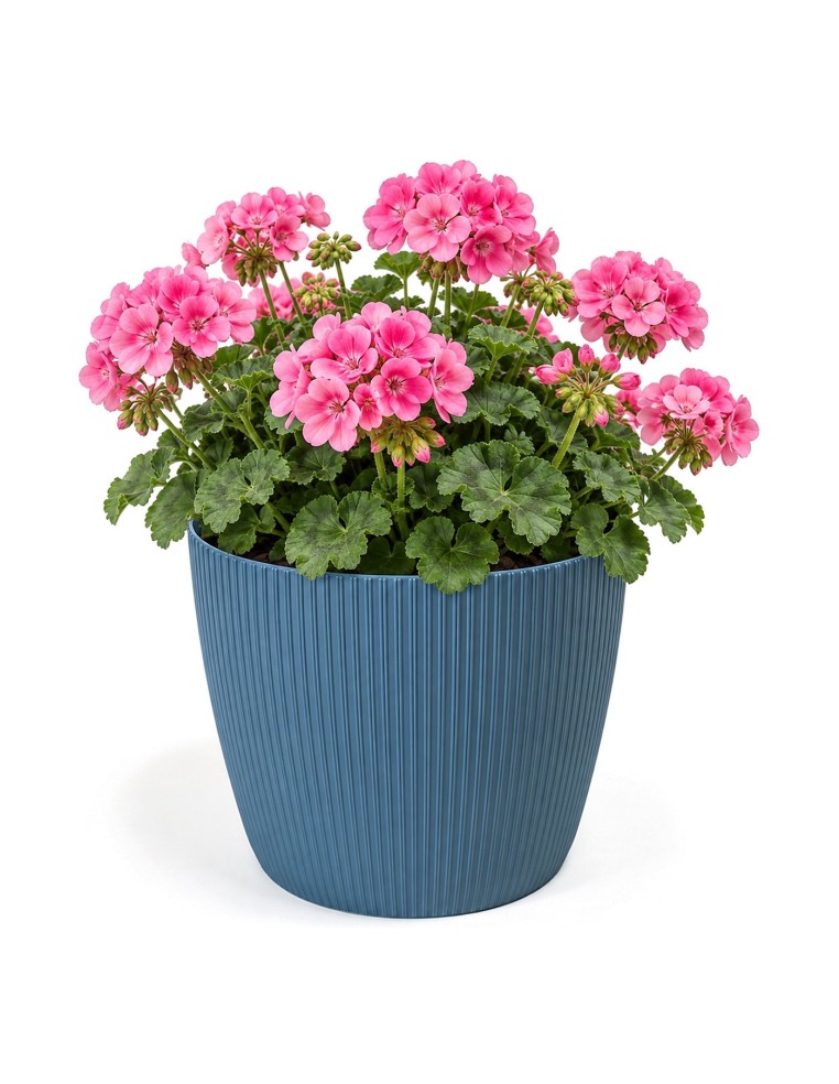 Sierpot rond XL Ø26 × 21 cm geribbeld, 8,5 L – Blauw